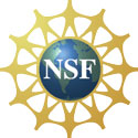 NSF logo
