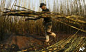 Brazilian sugarcane harvester