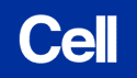 Cell logo