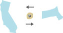 Stem cell traveling between CA and MA