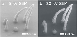 Nanocrystals magnified under an electron microscope