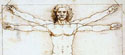 Vitruvian Man
