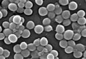 MRSA