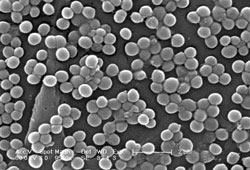 MRSA