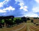 Farm
