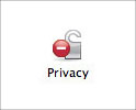 Privacy icon