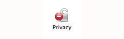 Privacy icon