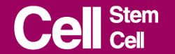 Human embryonic stem cell derived motor neurons