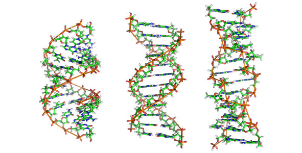 DNA