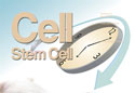 Cell Stem Cell cover