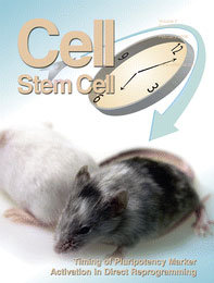 Cell Stem Cell cover