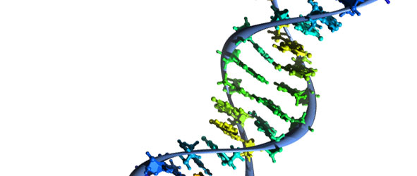 DNA strand