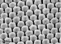 nanoparticle