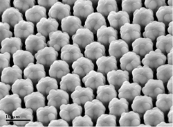 nanoparticle