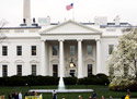 The White House