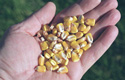 Biofuels
