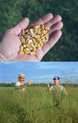 Biofuels
