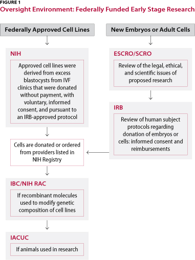 Oversight Environment: Federally Funded Early Stage Research (flowchart)