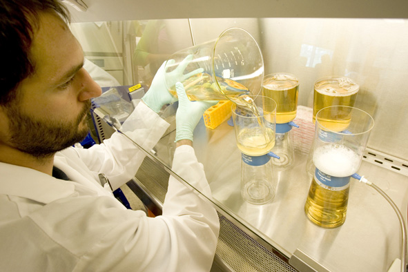 A researcher at the the University of Wisconsin-Madison filters a solution of media that will be used to grow a line of federally approved embryonic stem cells.
