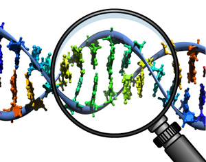 DNA under magnifying glass