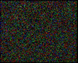 DBN array from Complete  Genomics