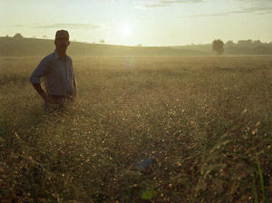 Prairie grass