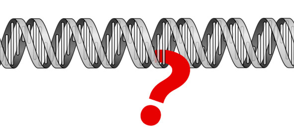 Question mark hanging on a double helix