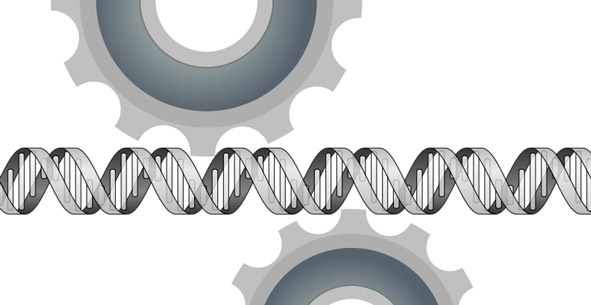 DNA passing through gears