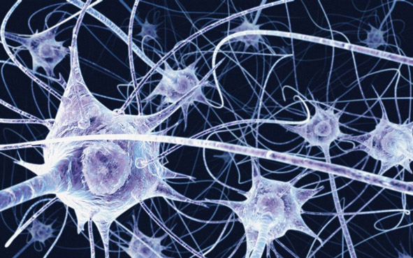 Neurons in the brain - illustration