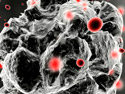 nanoparticles