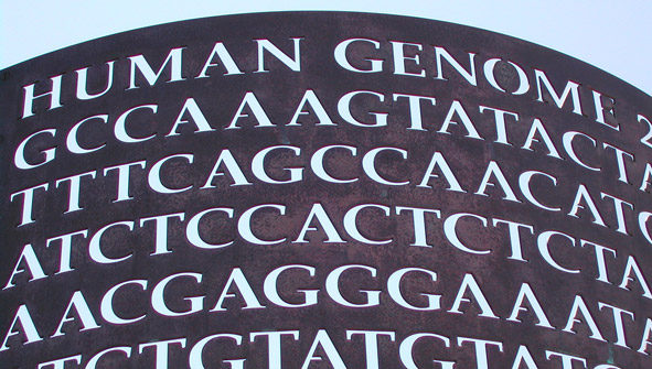 carving on side of building with human genetic code