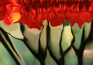 Roses in Glass