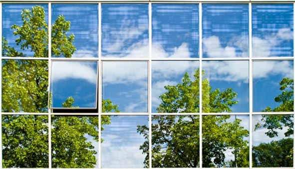 green office windows reflecting trees