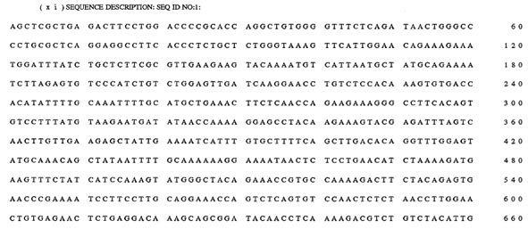 excerpt from the sequence listing in a patent for BRCA1