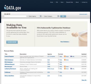 data.gov mock up screen grab