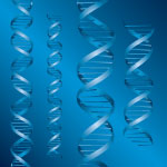 DNA strands