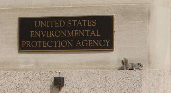 US Envirionmental Protection Agency sign with squirrel