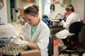 two women lab technicians