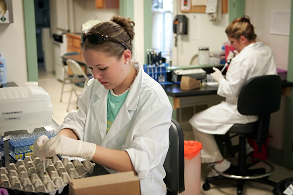  Poultry Laboratory in Kennett Square, SOURCE: AP/MATT ROURKE Scientists 