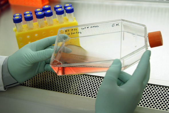 researcher holds a special bottle with human embryonic stem cells