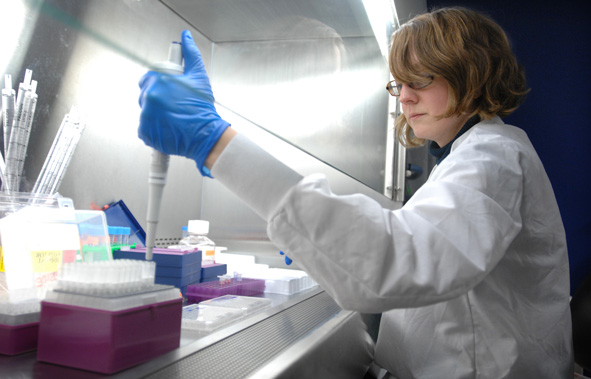 women working in lab at hooded cabinet