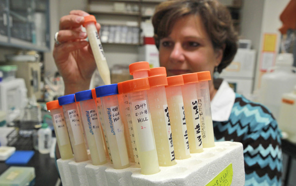 woman working in lab with test tubes