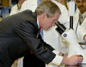 President Bush tours the NIH