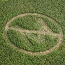 No to Monsanto Crop Circle